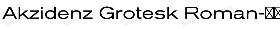 Akzidenz Grotesk Roman字体转换